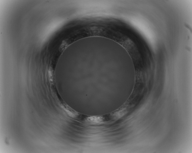 X0000099300526200805021234