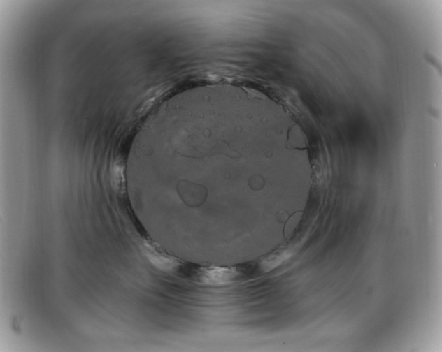 X0000099300527200805021234