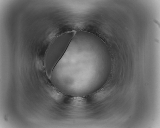 X0000099300528200805021234