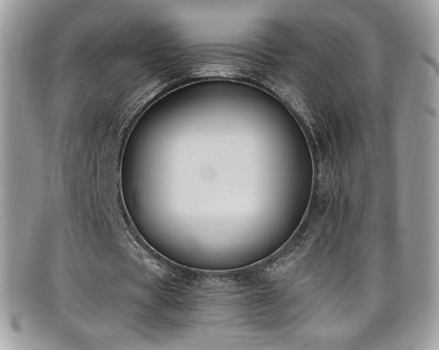 X0000099300529200805021233