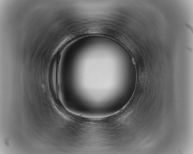 X0000099300530200805021233