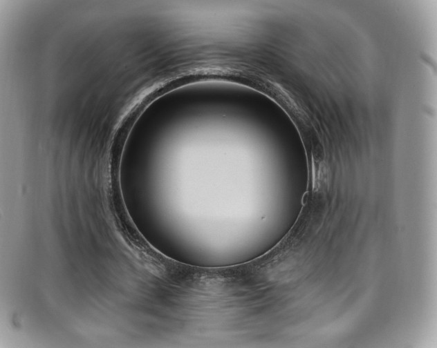 X0000099300531200805021233