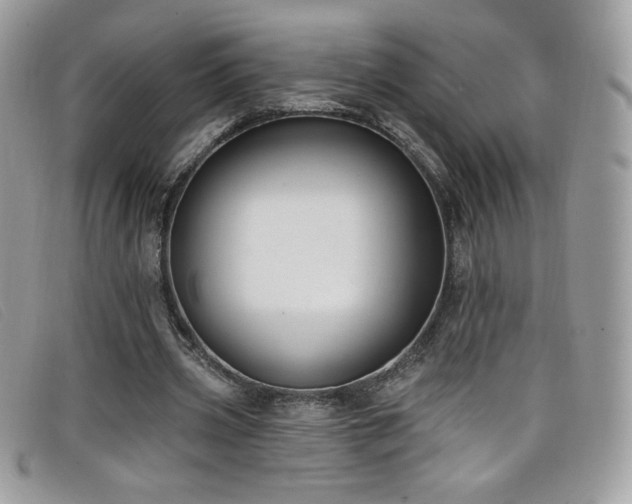 X0000099300533200805021233