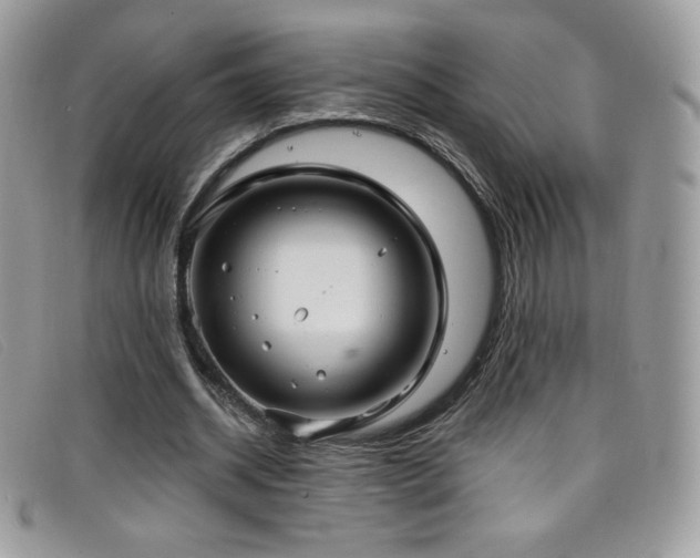 X0000099300534200805021233