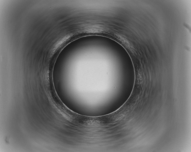 X0000099300535200805021233