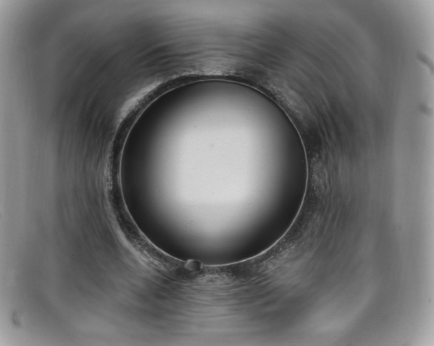 X0000099300536200805021233