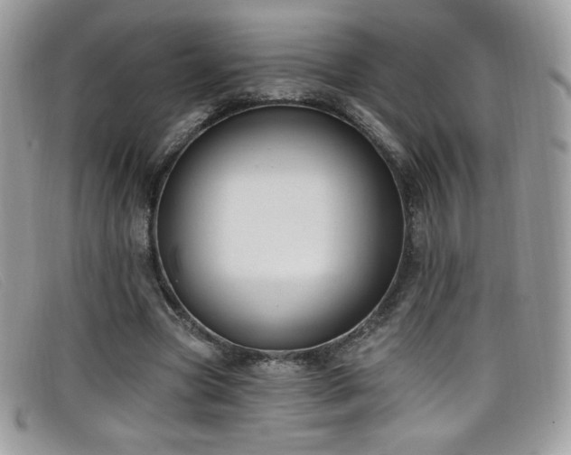 X0000099300537200805021233