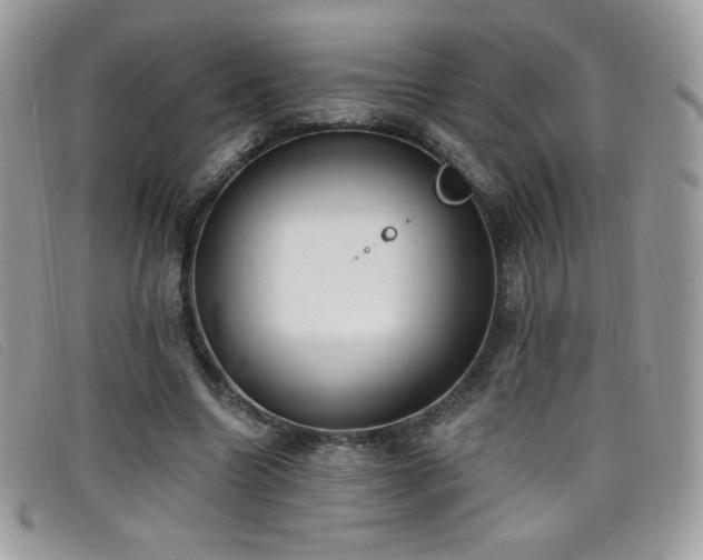 X0000099300538200805021233