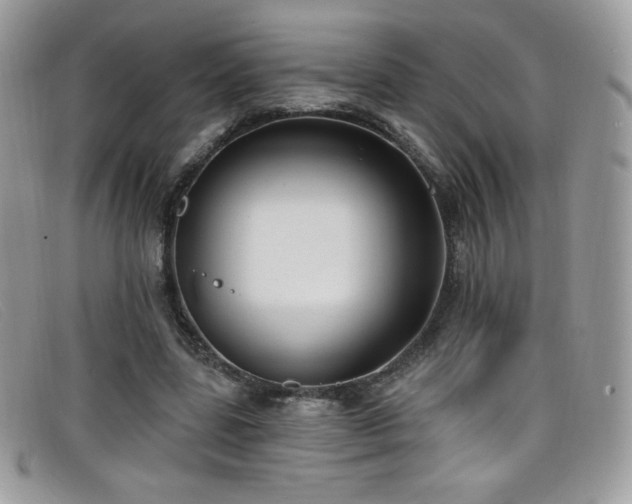 X0000099300539200805021233