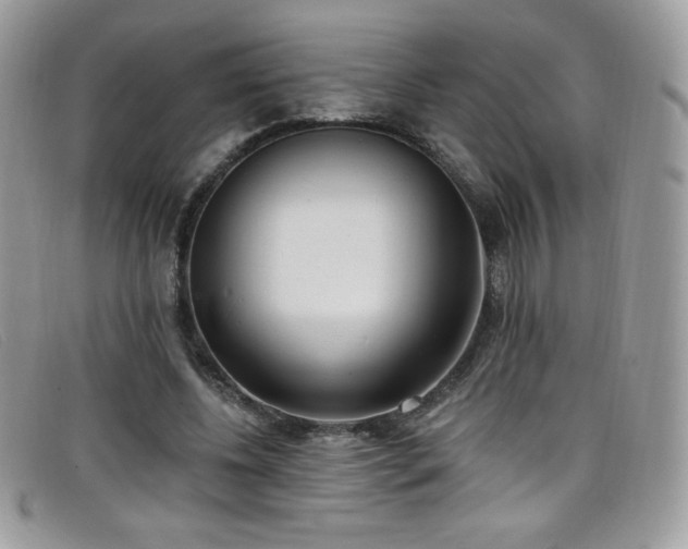 X0000099300540200805021233