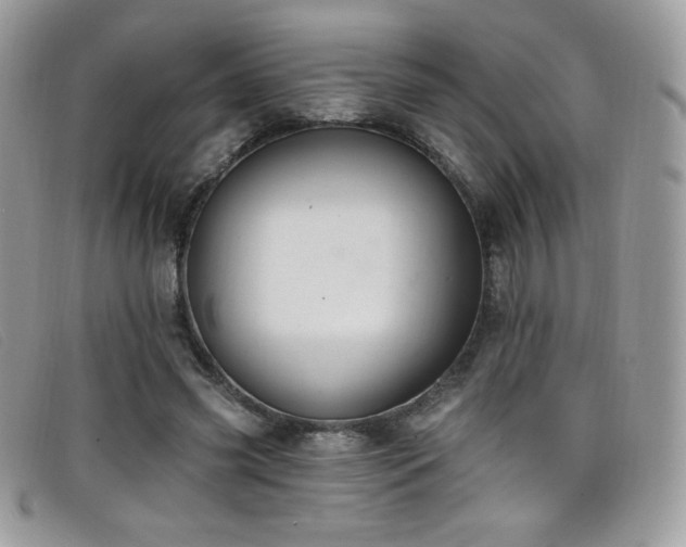 X0000099300541200805021233