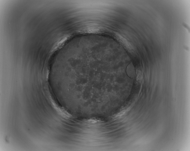 X0000099300542200805021233