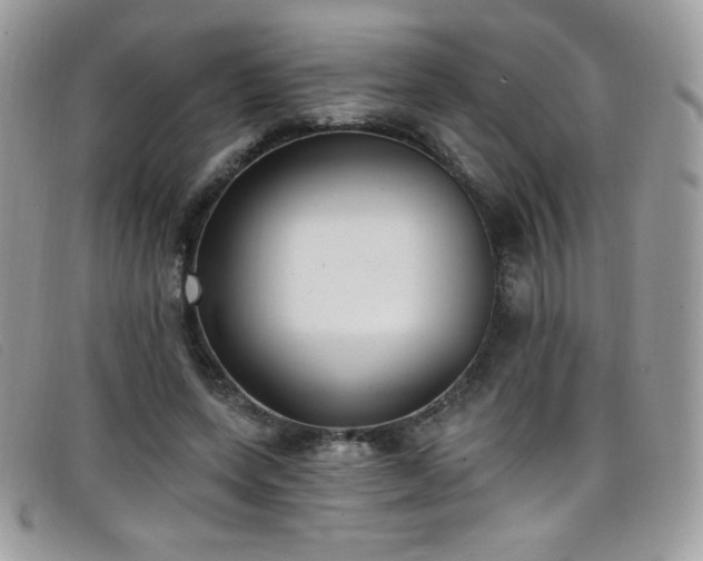 X0000099300543200805021233