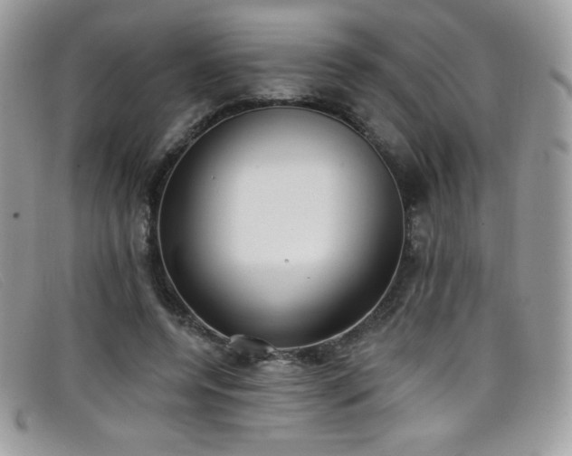 X0000099300544200805021233