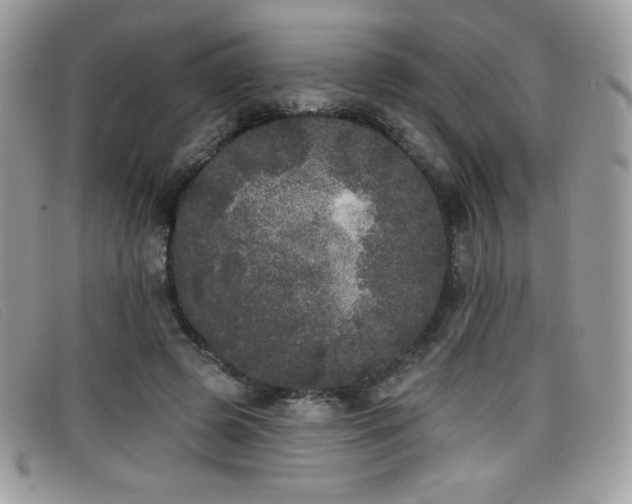 X0000099300545200805021233