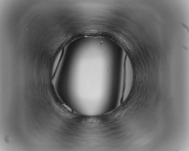 X0000099300546200805021233