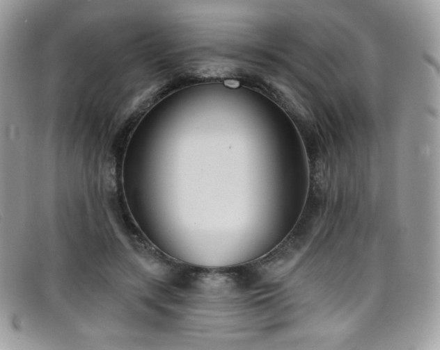 X0000099300547200805021233