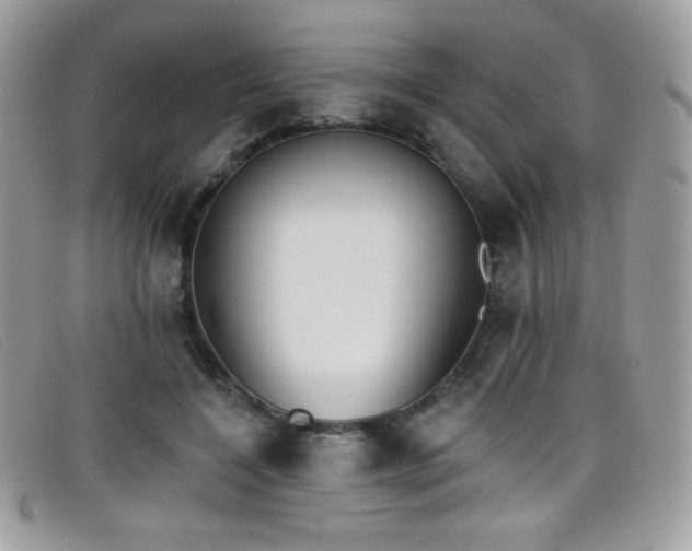 X0000099300548200805021233