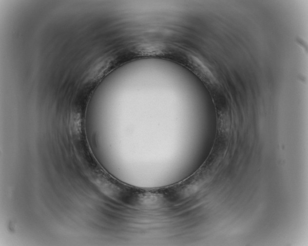 X0000099300549200805021233