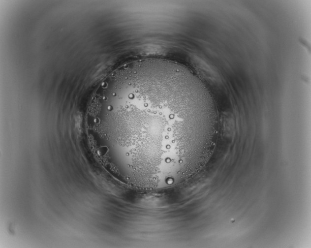 X0000099300550200805021233