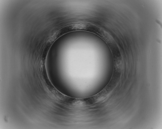 X0000099300551200805021233