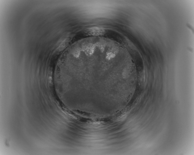 X0000099300553200805021233