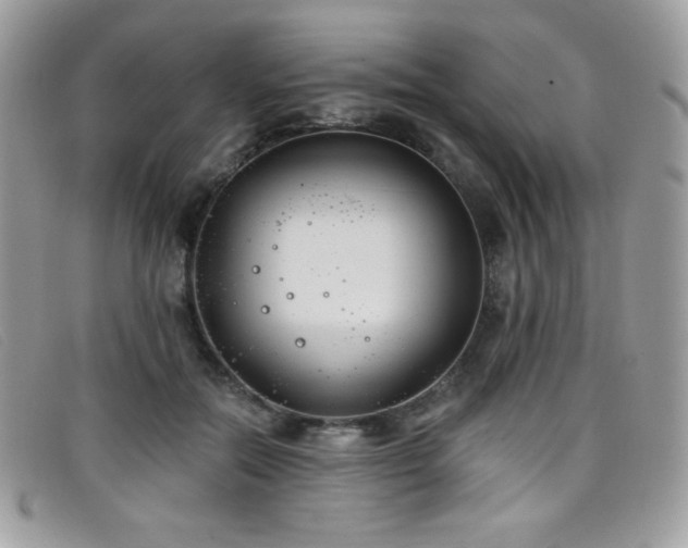 X0000099300554200805021233