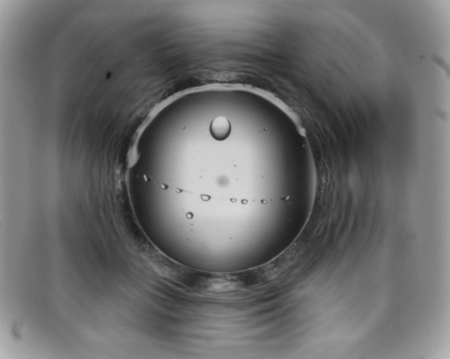 X0000099300555200805021233