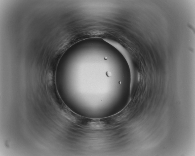 X0000099300556200805021233