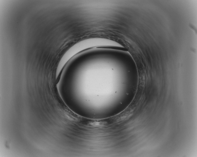 X0000099300558200805021233