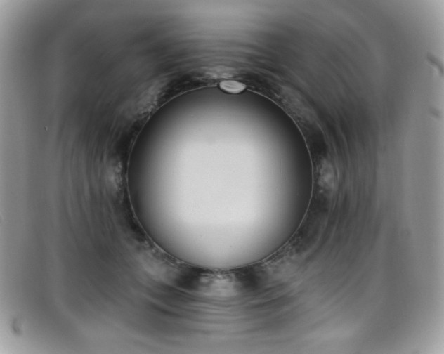 X0000099300559200805021233