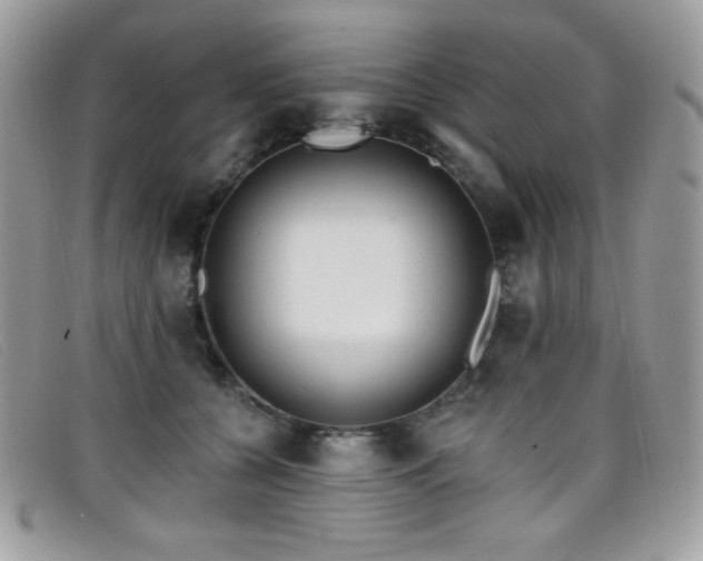 X0000099300560200805021233