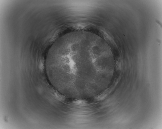 X0000099300561200805021233