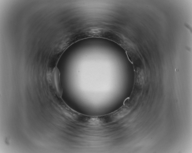 X0000099300562200805021233