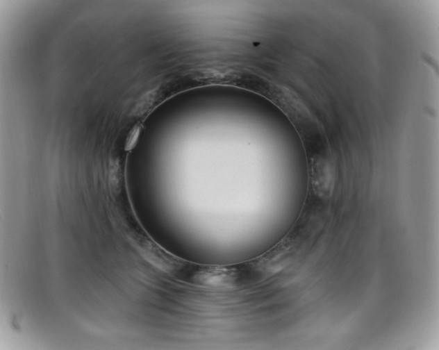 X0000099300563200805021233