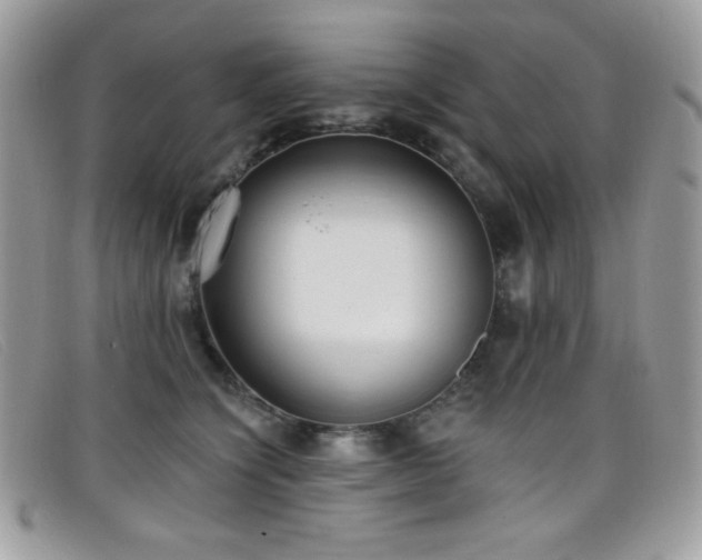 X0000099300564200805021233