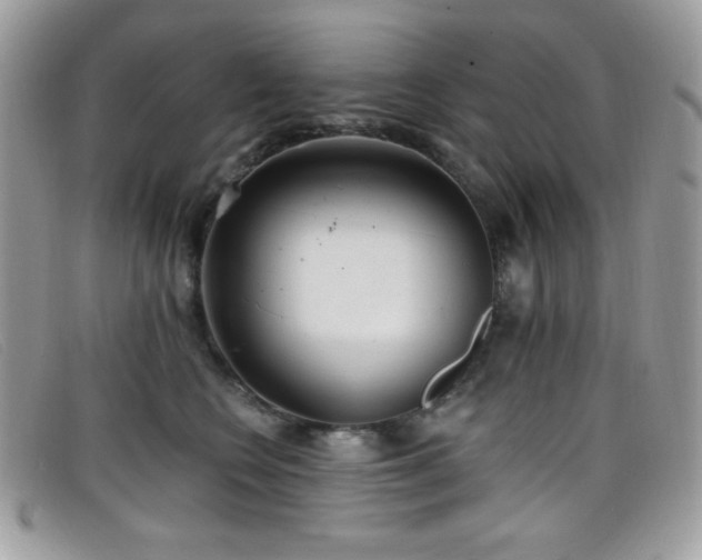 X0000099300566200805021233