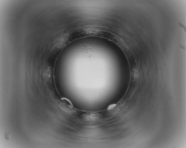 X0000099300567200805021233