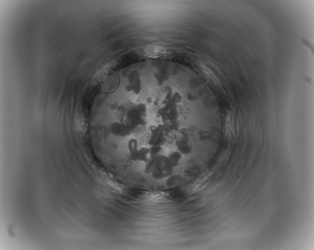 X0000099300569200805021233