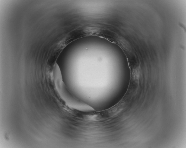 X0000099300570200805021233