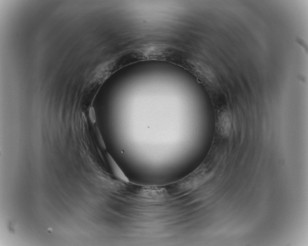 X0000099300571200805021233