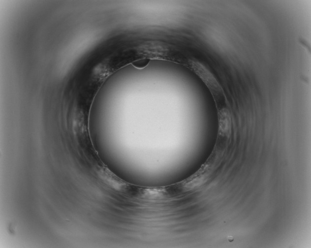 X0000099300573200805021234