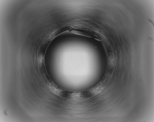 X0000099300574200805021234