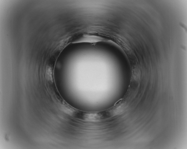 X0000099300575200805021234