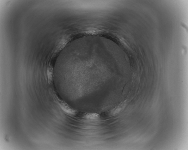 X0000099300576200805021234