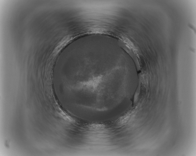 X0000099300577200805021233