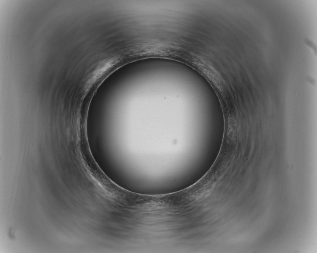 X0000099300578200805021233