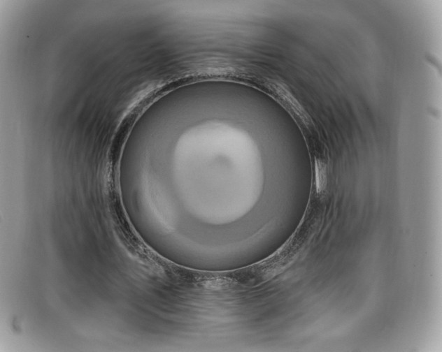 X0000099300579200805021233