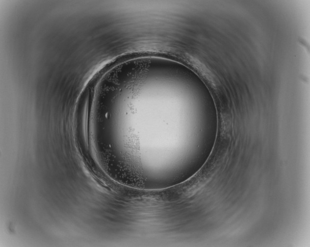 X0000099300580200805021233