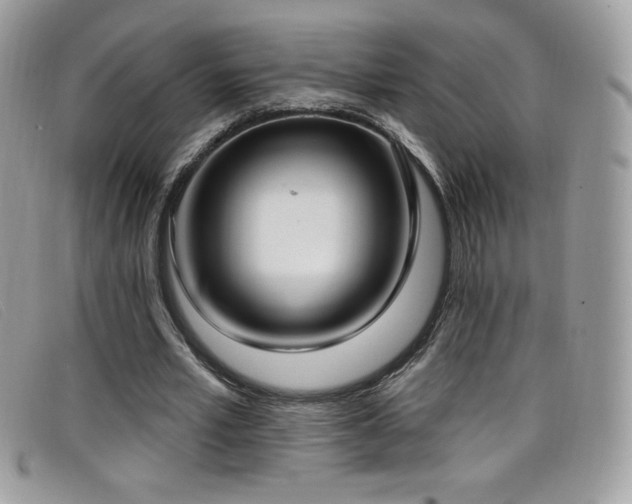 X0000099300581200805021233